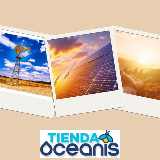 Renovables: Fuentes Sostenibles de Energía