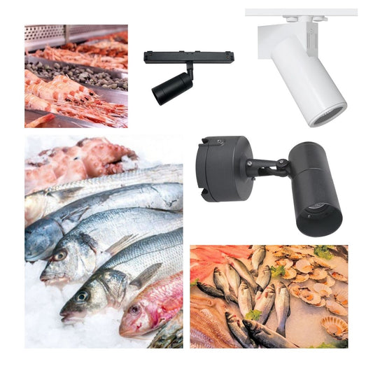 Cómo iluminar con Led una pescadería